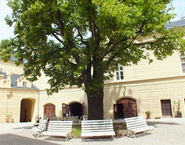 Výlet na zámek Chyše (20.6.2012)