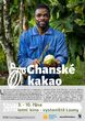 Výstava na stromech
