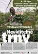 Výstava na stromech – pěstování květin ve východní Africe